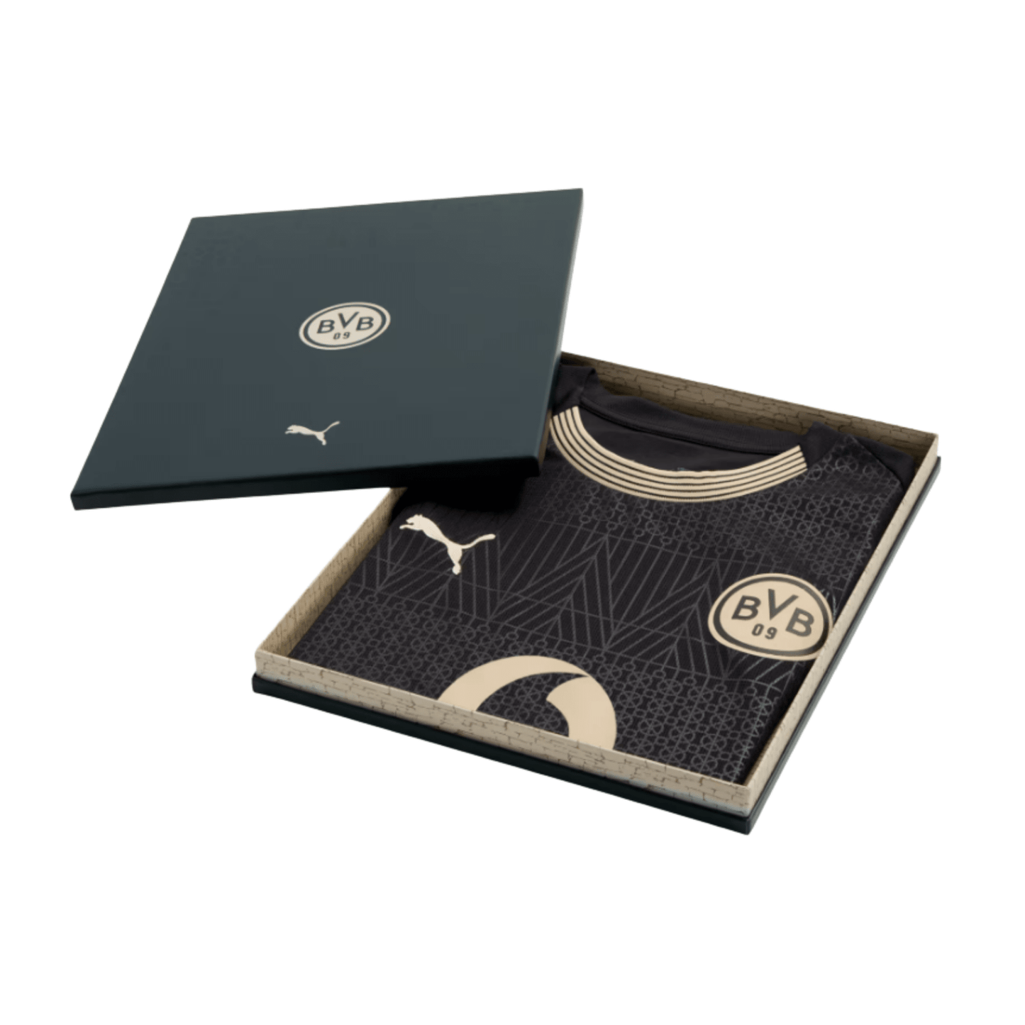 BVB BORUSSIA DORTMUND Sondertrikot Herren 25 / 26