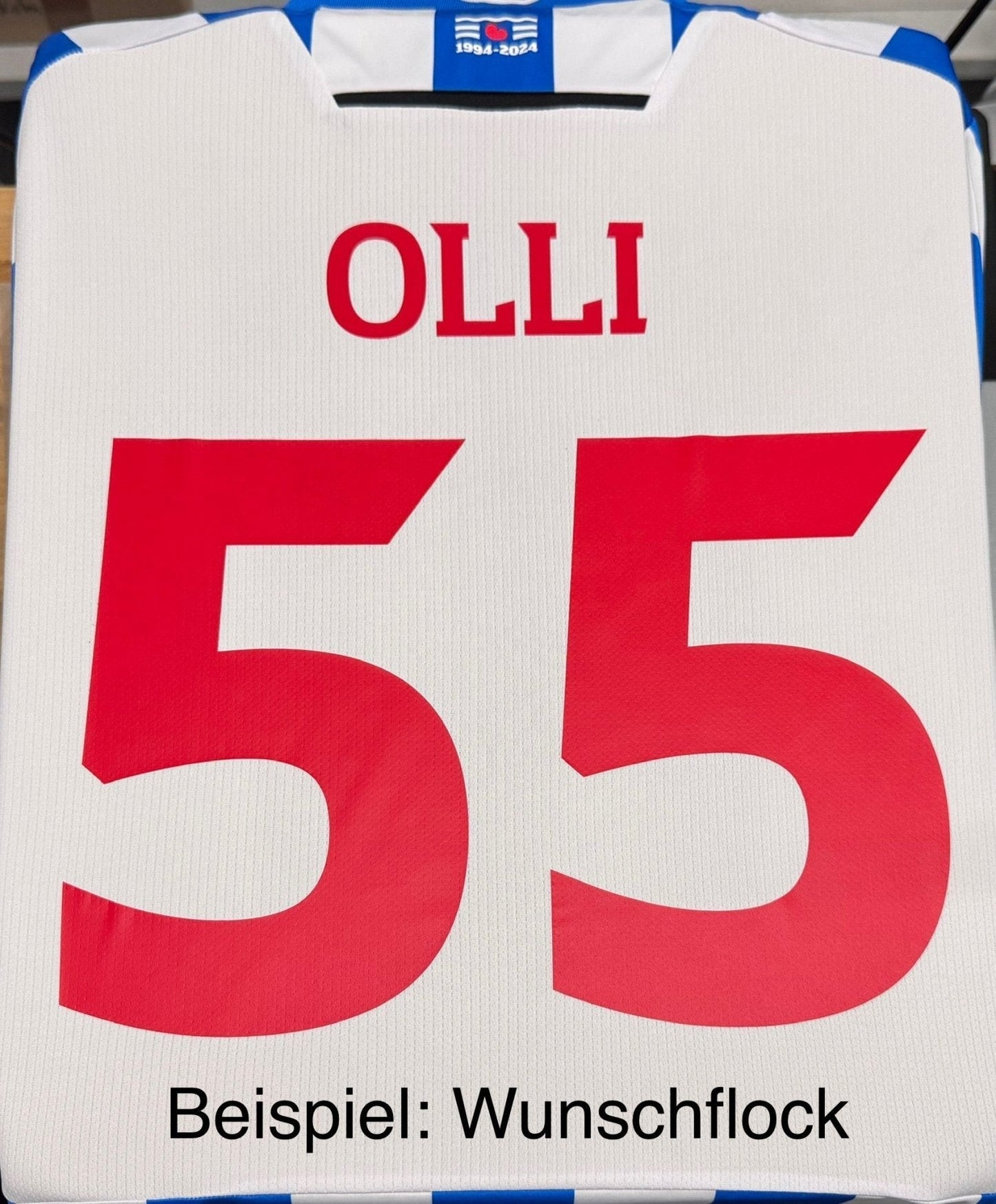 Maglia casalinga SC Heerenveen uomo 25 / 26