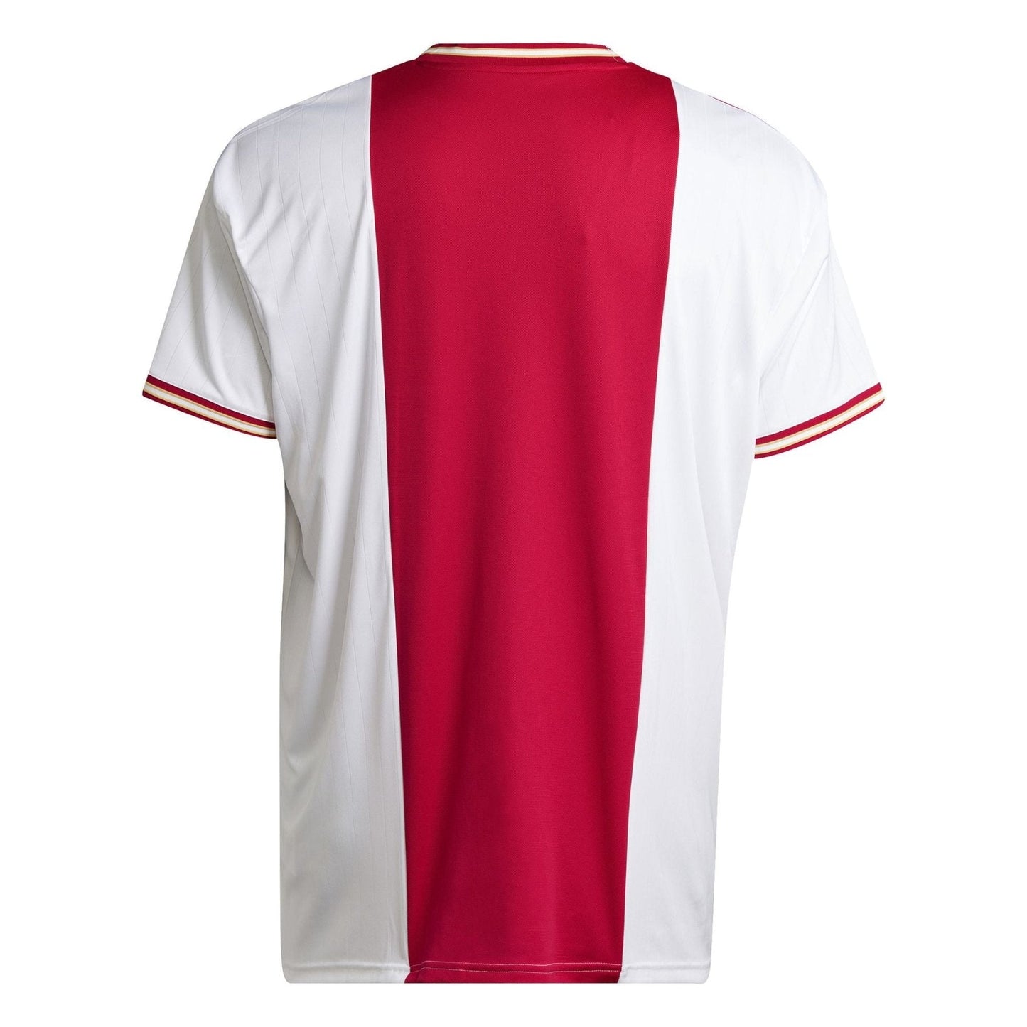 AJAX AMSTERDAM Heimtrikot Herren 22 / 23