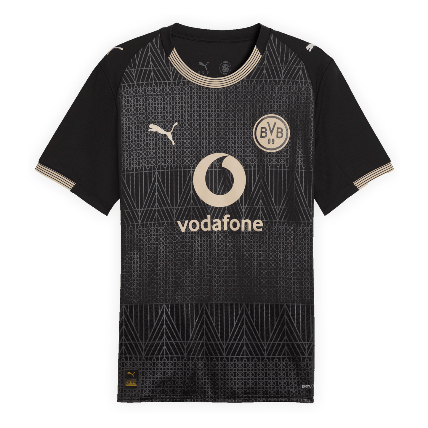 BVB BORUSSIA DORTMUND Sondertrikot Herren 25 / 26