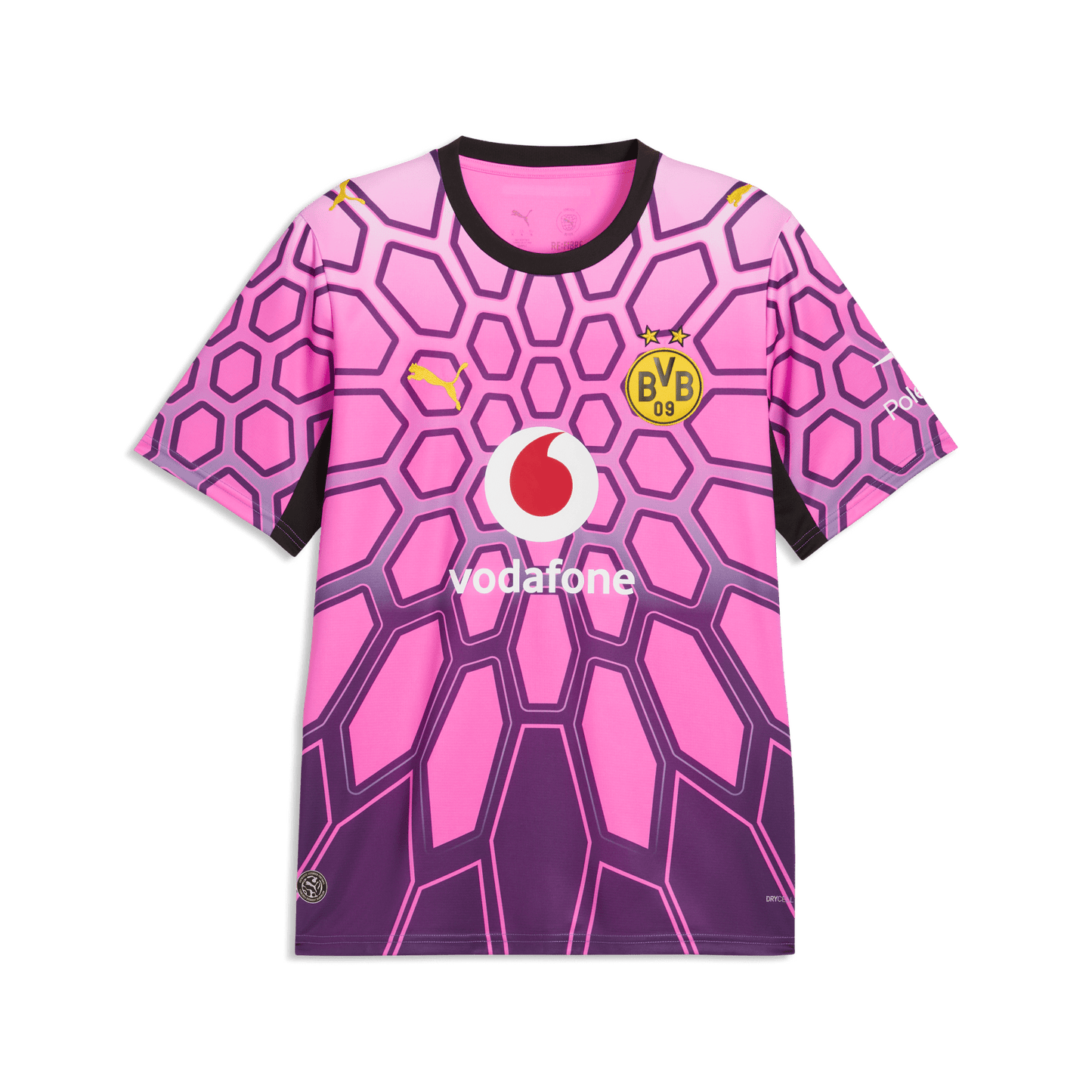 BVB BORUSSIA DORTMUND Torwarttrikot Herren Lila 26 / 27