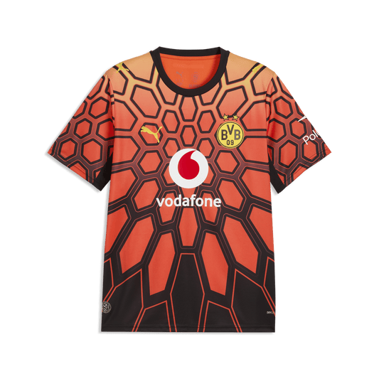 BVB BORUSSIA DORTMUND Torwarttrikot Herren Orange 26 / 27