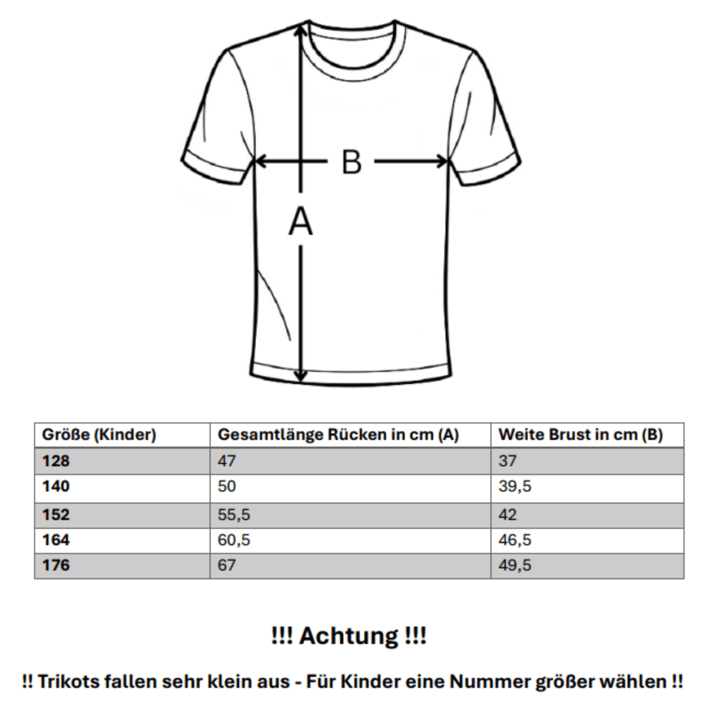 BVB BORUSSIA DORTMUND Torwarttrikot Kinder Beige 24 / 25