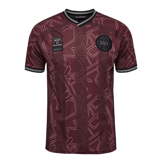 DBU DÄNEMARK X HALO Jersey Spezial Herren 2024