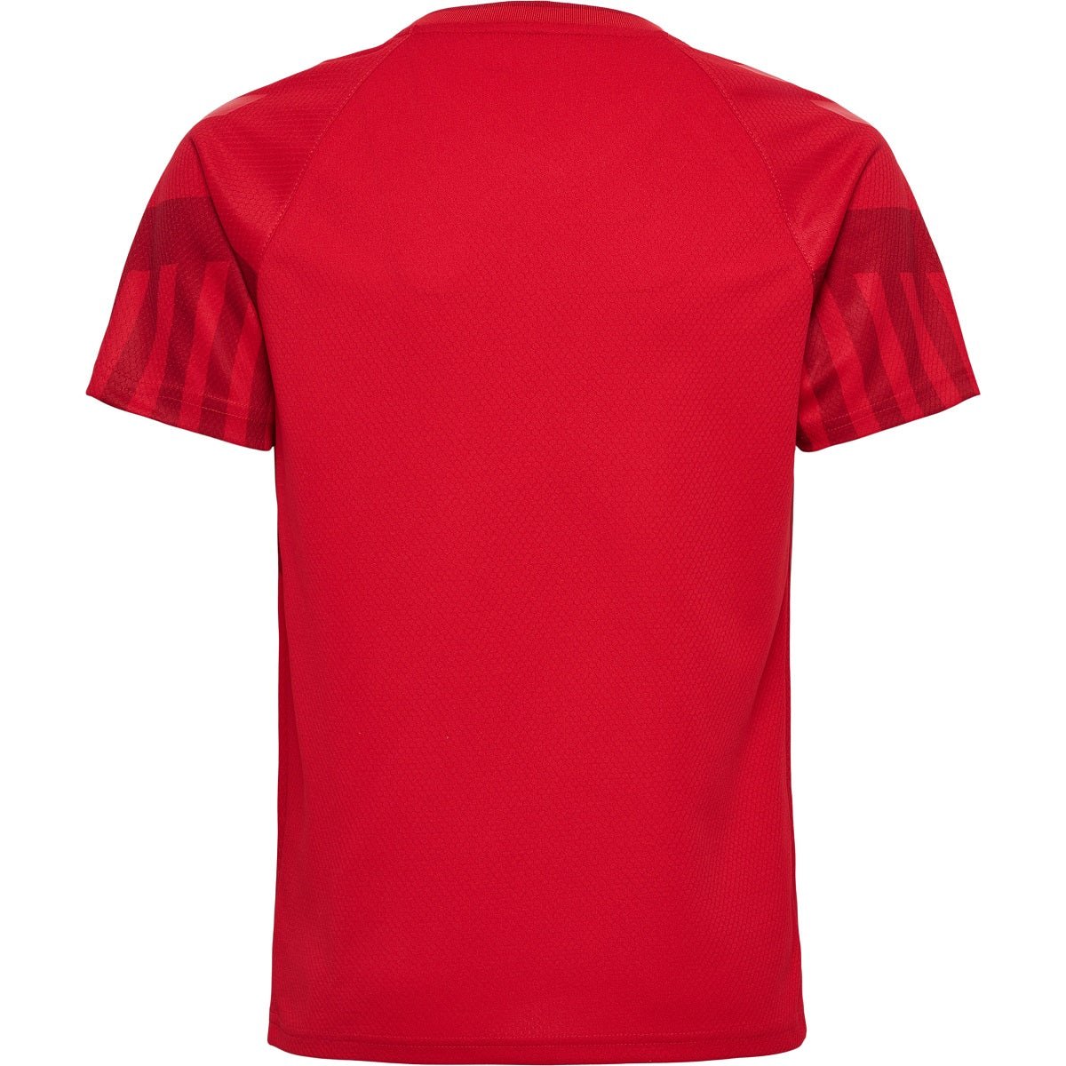 DÄNEMARK Heimtrikot Herren WM 2022