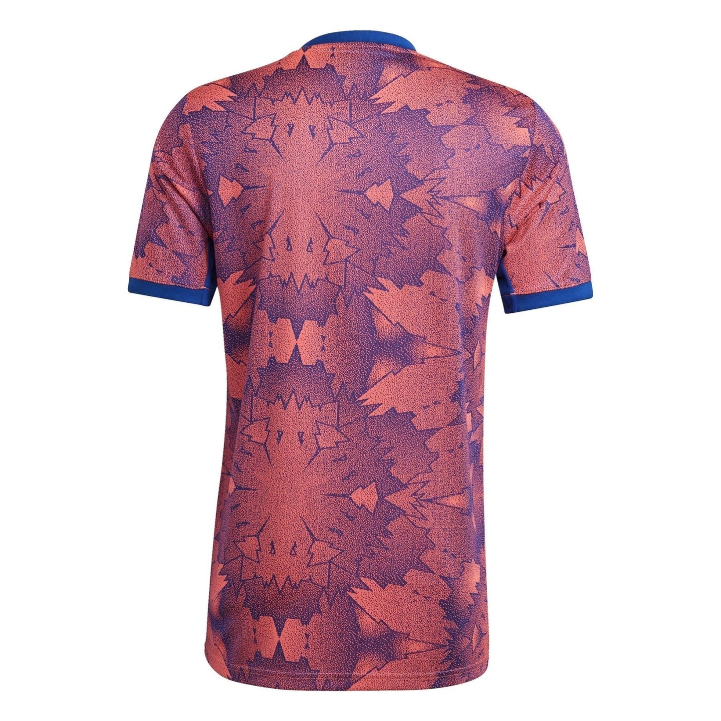 Maglia 3 JUVENTUS TORINO Uomo 22 / 23