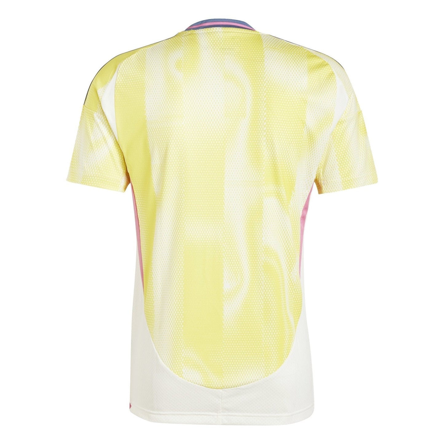 Maglia trasferta JUVENTUS TORINO Uomo 24 / 25