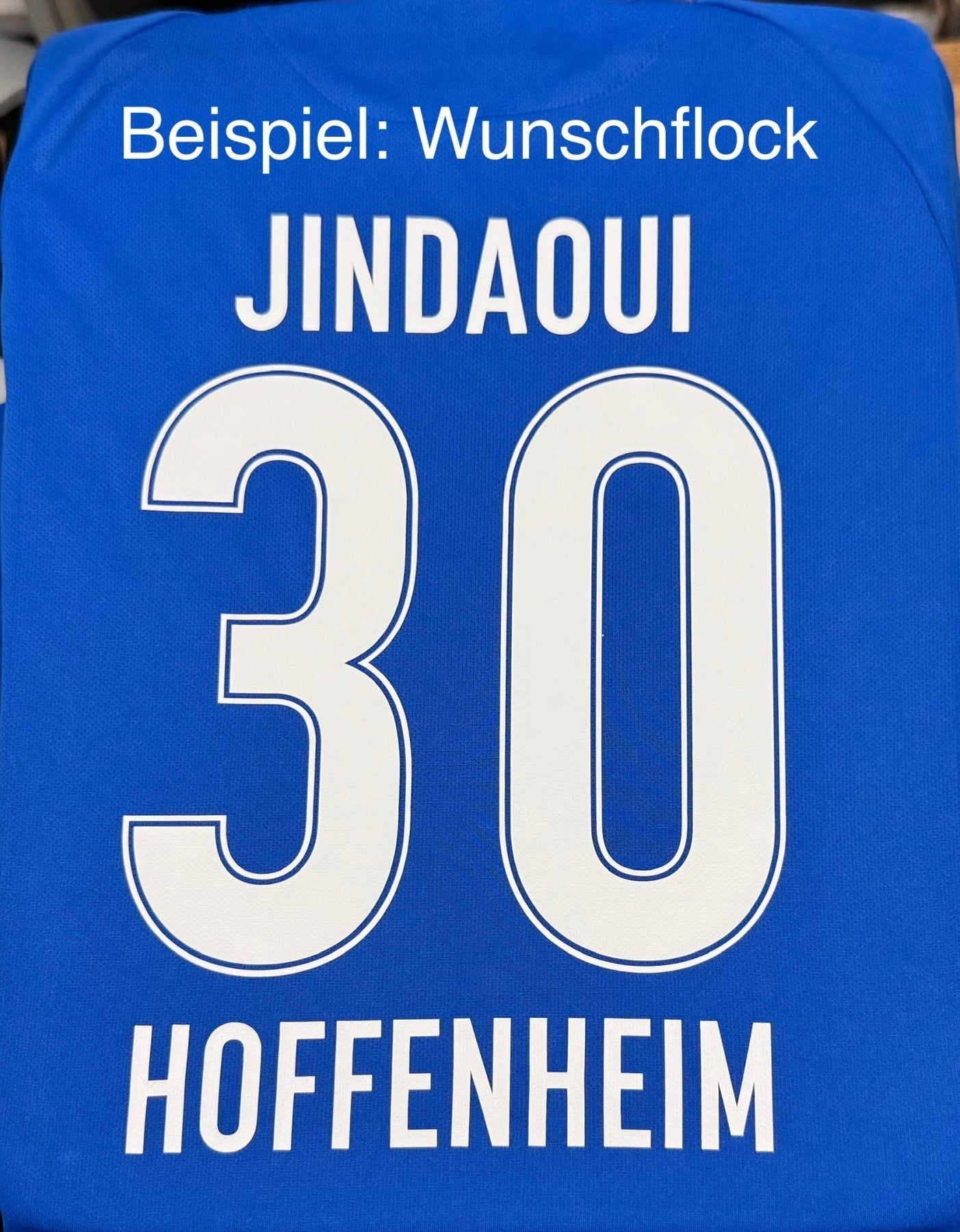 TSG HOFFENHEIM Heimtrikot Herren 20 / 21